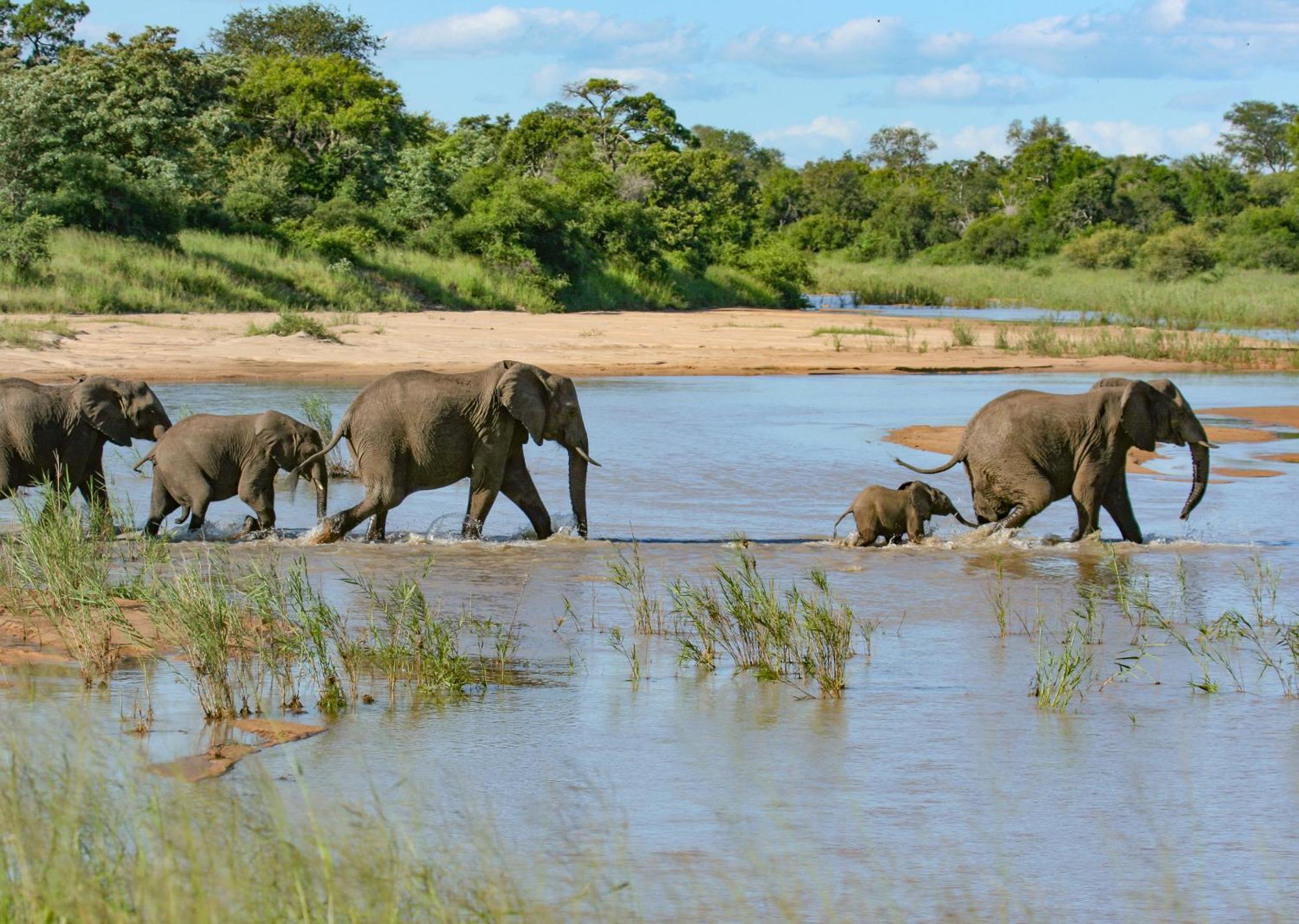 Mjejane Bush Camp By Dream Resorts Hectorspruit Esterno foto