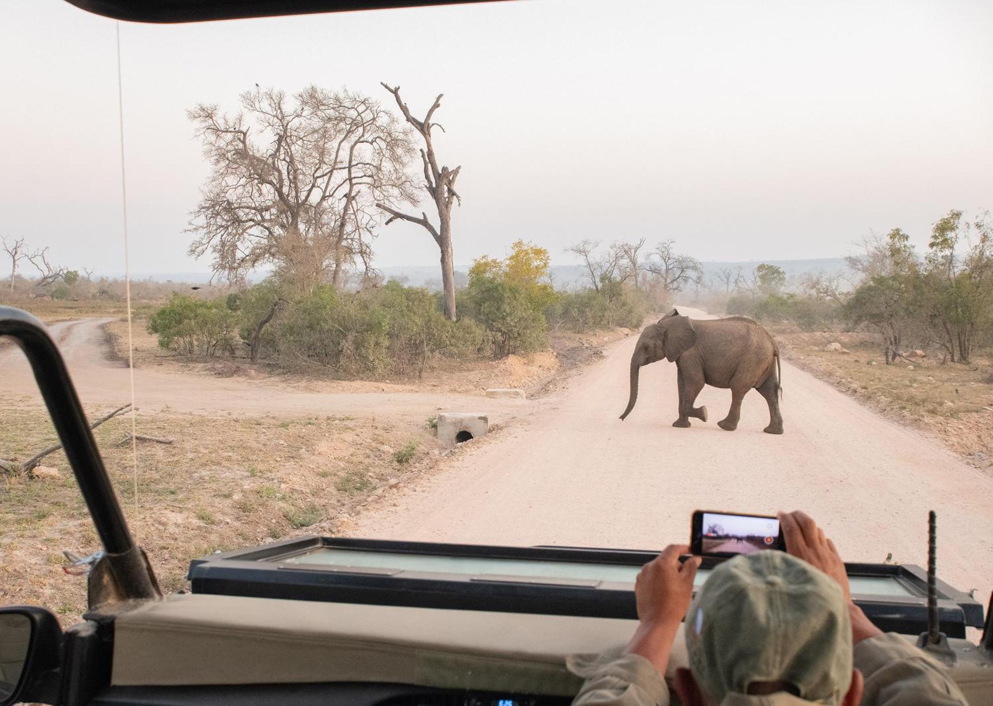 Mjejane Bush Camp By Dream Resorts Hectorspruit Esterno foto