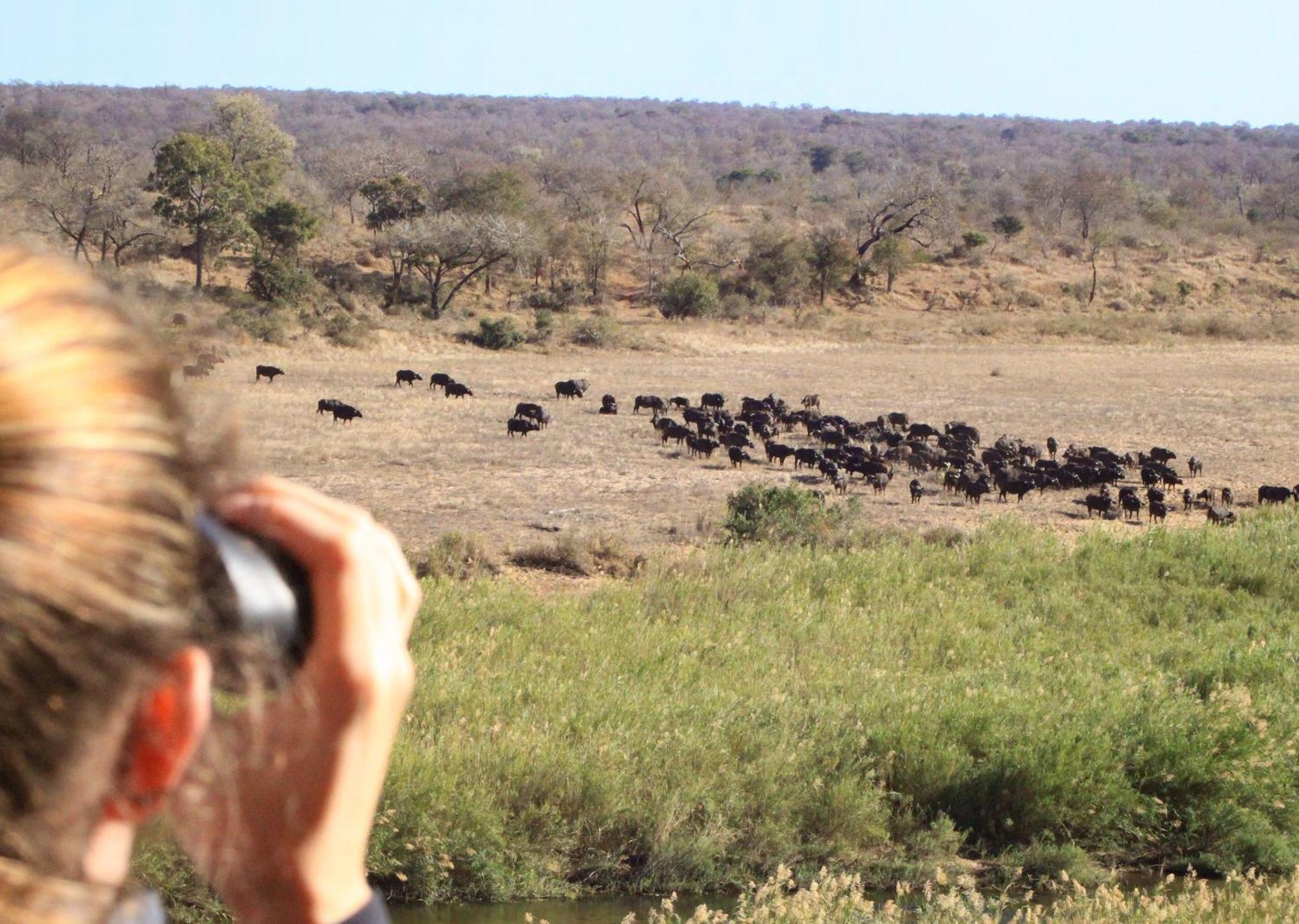 Mjejane Bush Camp By Dream Resorts Hectorspruit Esterno foto