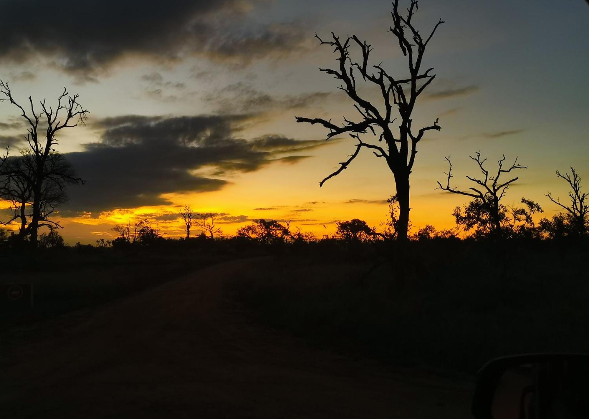 Mjejane Bush Camp By Dream Resorts Hectorspruit Esterno foto