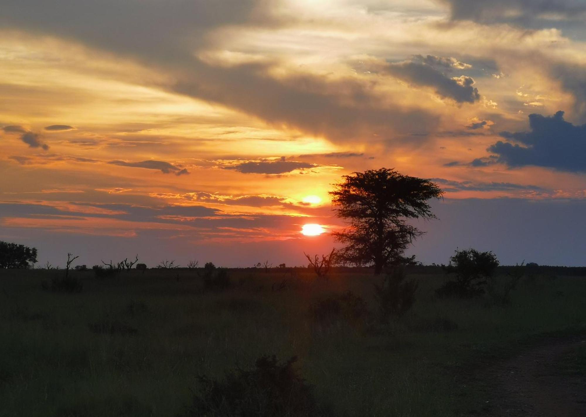 Mjejane Bush Camp By Dream Resorts Hectorspruit Esterno foto