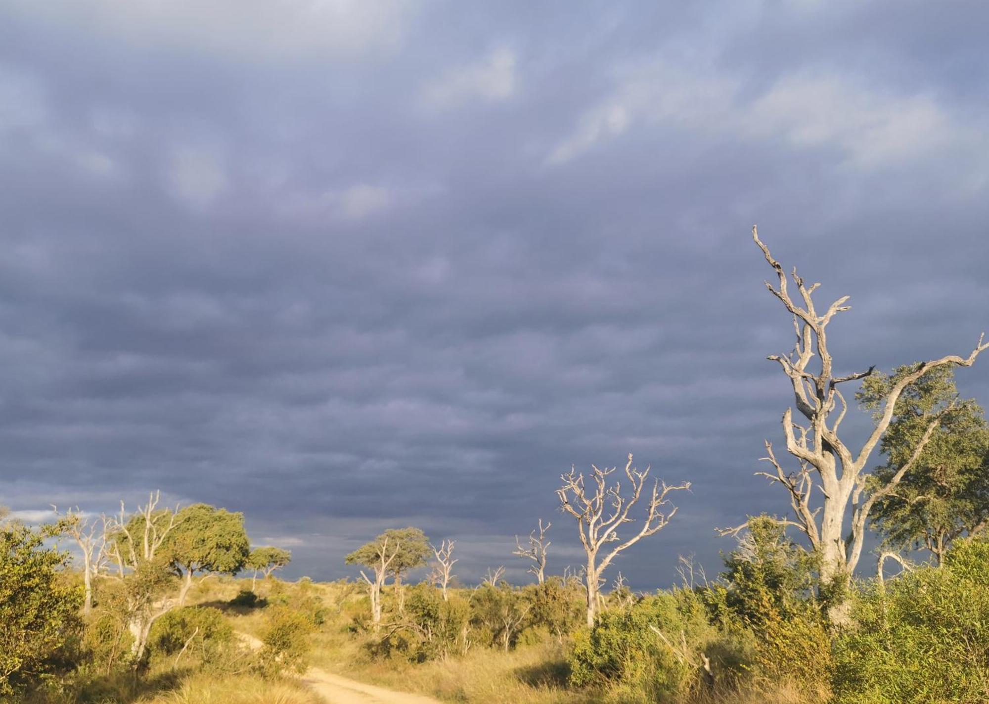 Mjejane Bush Camp By Dream Resorts Hectorspruit Esterno foto