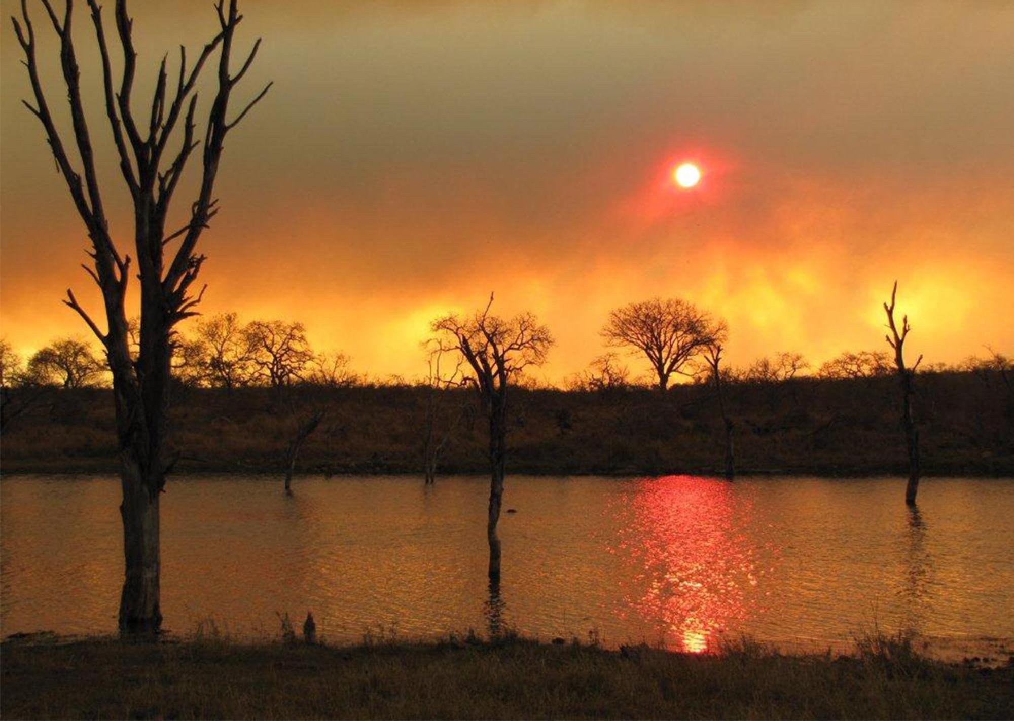 Mjejane Bush Camp By Dream Resorts Hectorspruit Esterno foto