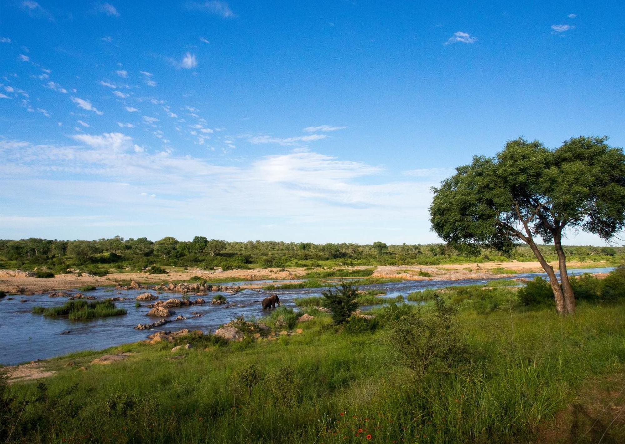 Mjejane Bush Camp By Dream Resorts Hectorspruit Esterno foto
